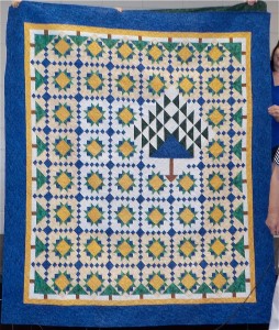 Quilt from Lyn Mann class