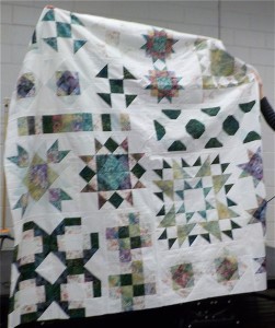 Bernina Block of the Month Party