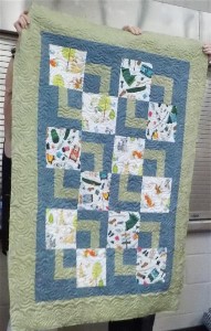 JJ's Adventure Quilt